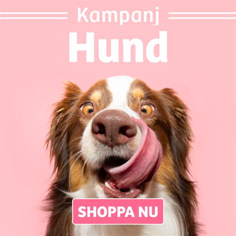 Djurbutik online med allt för hund & katt .